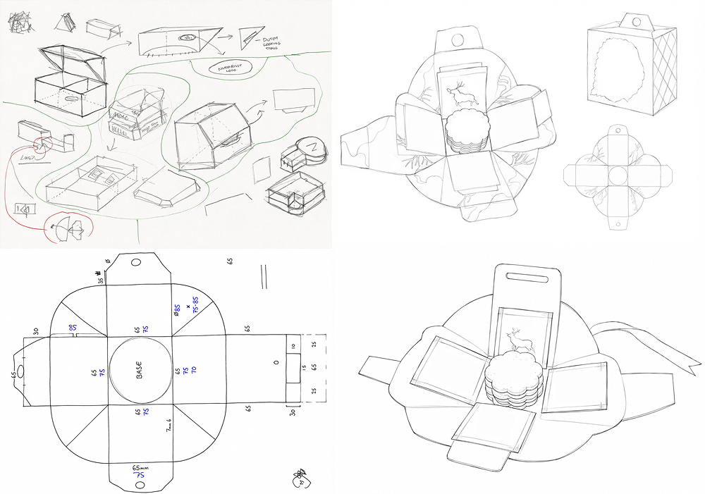 Nordic Bloom packaging sketches and structure ideas